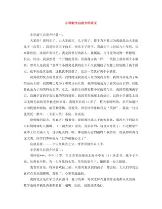 小学新生自我介绍范文 