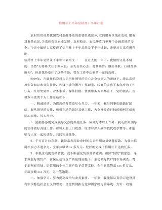 信用社上半年总结及下半年计划