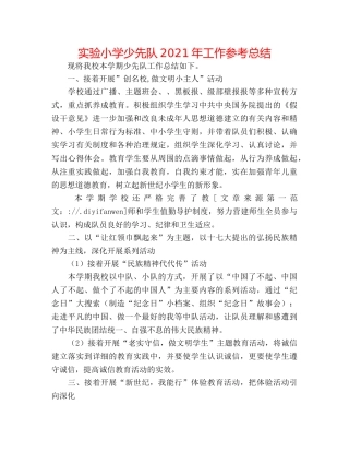 实验小学少先队2024年工作参考总结 