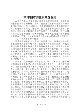 XX年团市委挂职锻炼总结