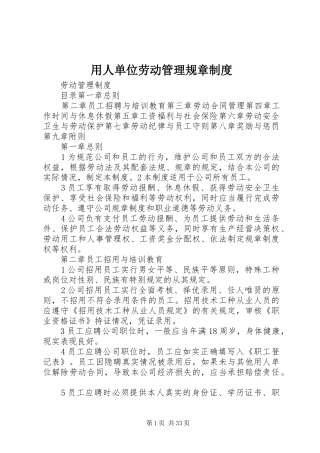 用人单位劳动管理规章制度