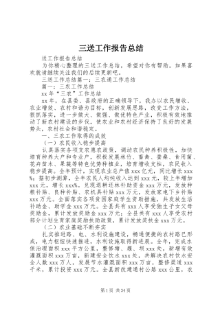 三送工作报告总结