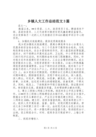 乡镇人大工作总结范文3篇