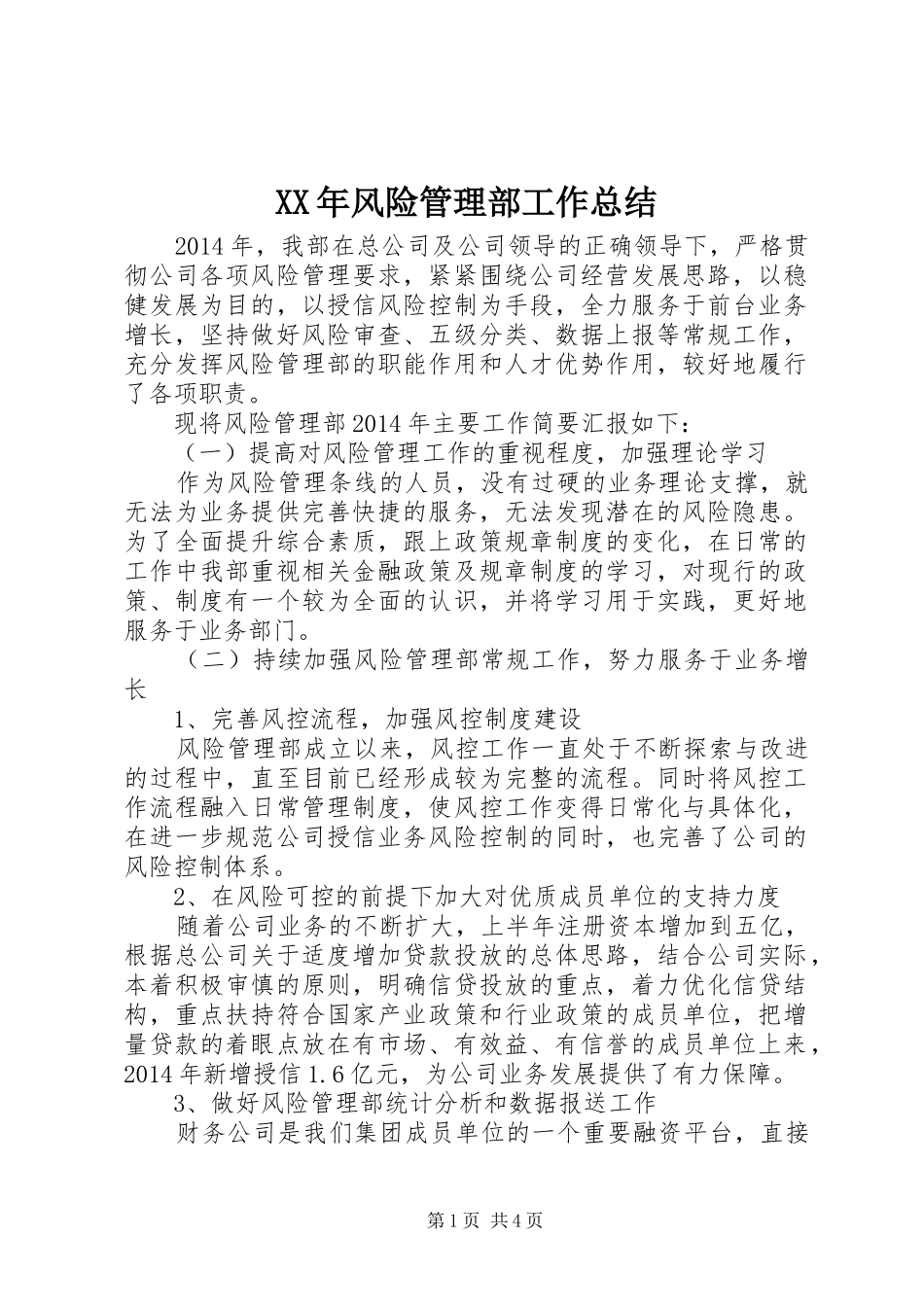 XX年风险管理部工作总结_第1页