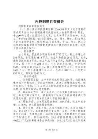 内控制度自查报告