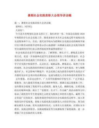 暑期社会实践表彰大会领导讲话稿 