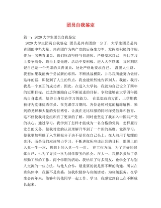 团员自我鉴定 (2) 