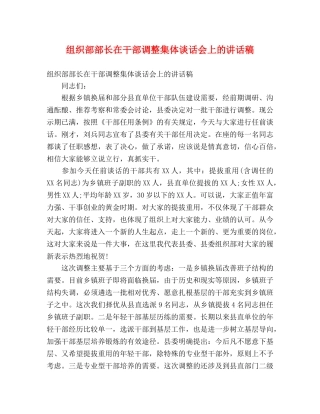 组织部部长在干部调整集体谈话会上的讲话稿 