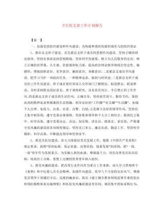 卫生院支部工作计划报告