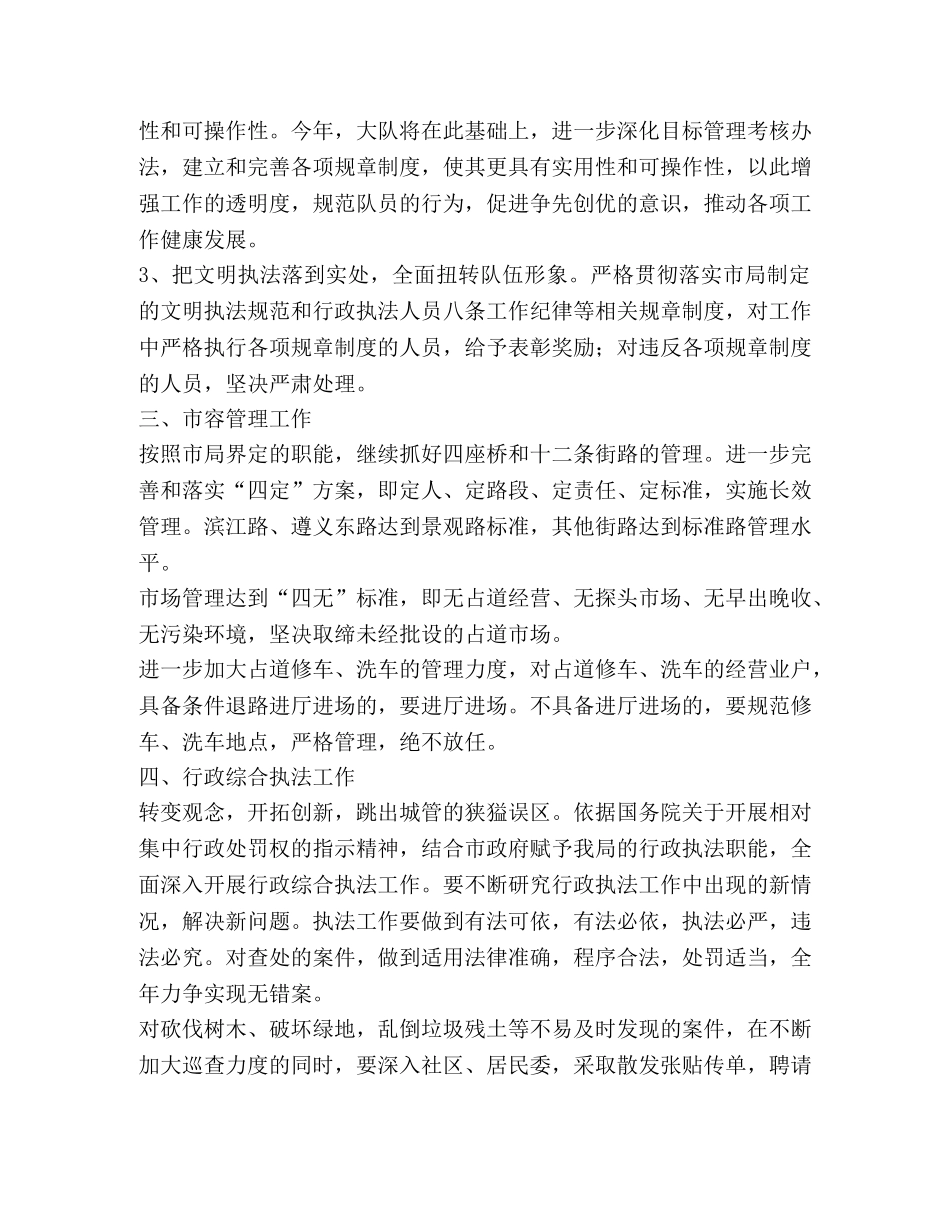 市容综合执法龙大队二○○五年工作要点 _第2页