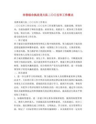 市容综合执法龙大队二○○五年工作要点 