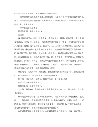 小学生竞选班长演讲稿树立好榜样，争做排头兵 