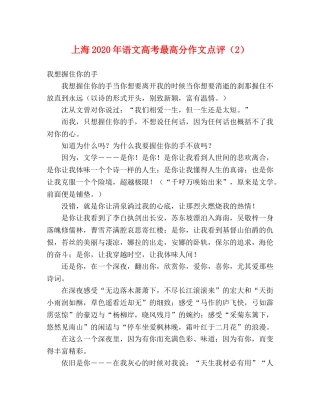 上海2024年语文高考最高分作文点评（2） 