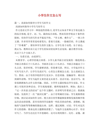 小学生作文怎么写 