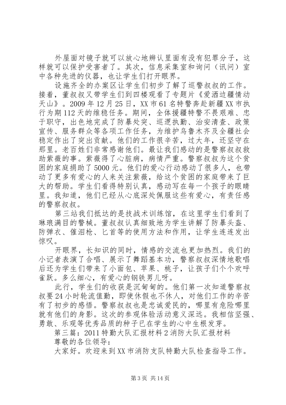 特勤巡查大队职责_第3页