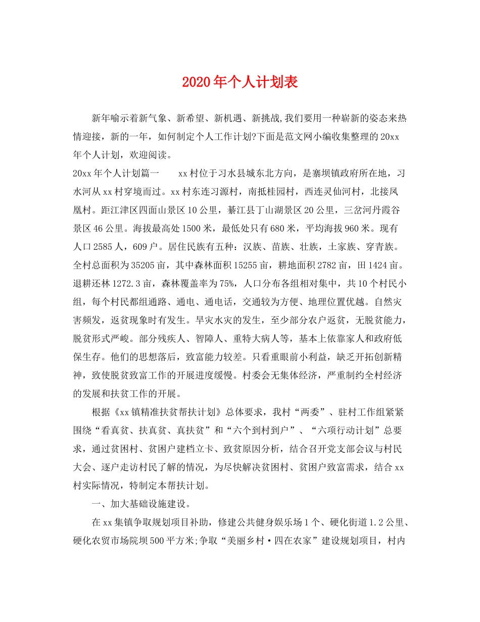 2020年个人计划表_第1页