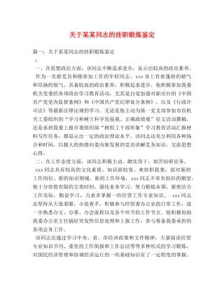 关于某某同志的挂职锻炼鉴定 