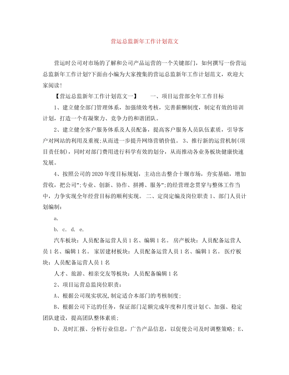营运总监新年工作计划范文_第1页