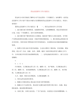 营运总监新年工作计划范文