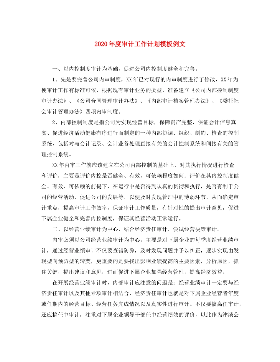 2020年度审计工作计划模板例文_第1页