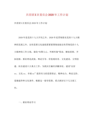 共青团区委员会年工作计划