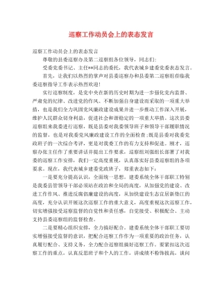 巡察工作动员会上的表态发言 