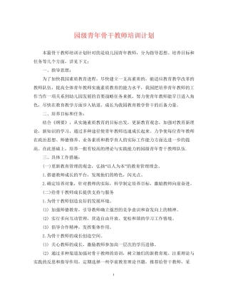 园级青年骨干教师培训计划