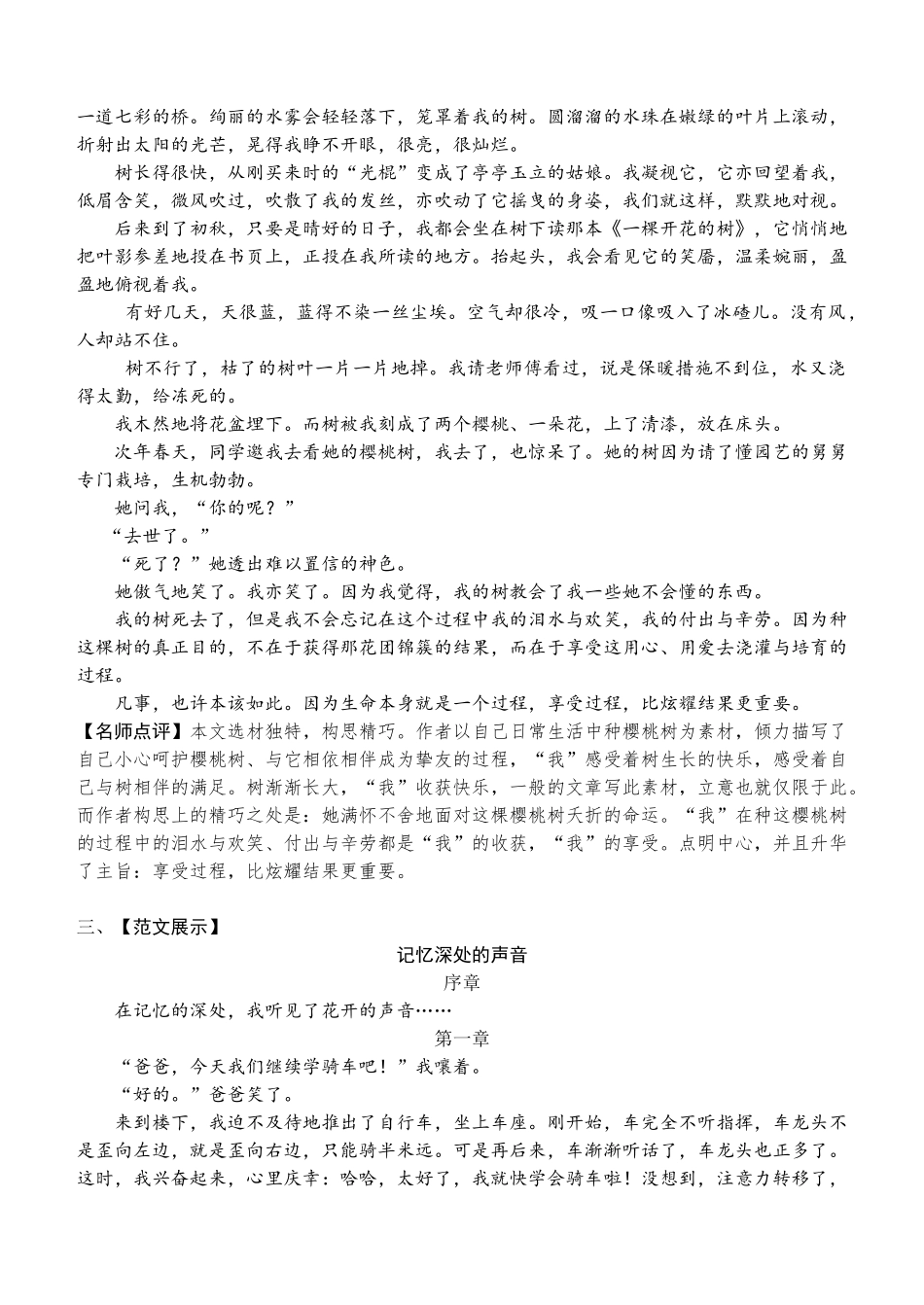 2018年中考语文作文范文20篇_第2页