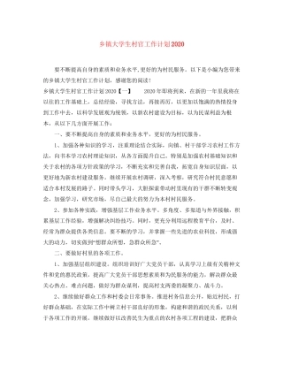 乡镇大学生村官工作计划2