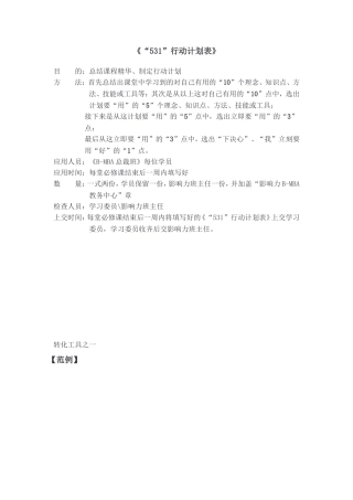 531行动计划表