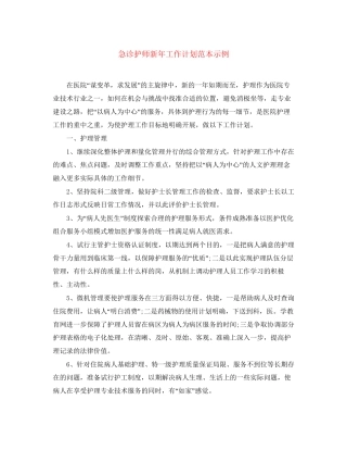 急诊护师新年工作计划范本示例