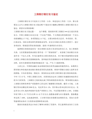 工商银行银行实习鉴定 