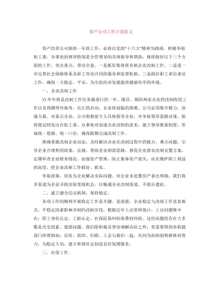 资产公司工作计划范文