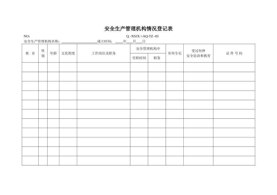 AQ记录表格_第3页