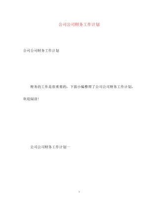 公司公司财务工作计划