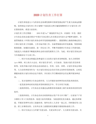 计划生育工作打算