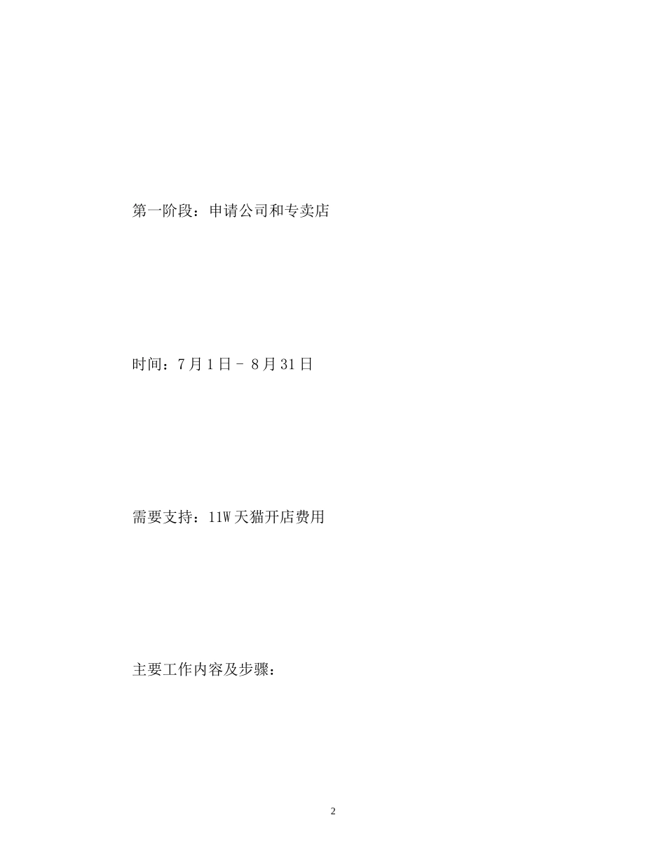 天猫新店运营计划_第2页