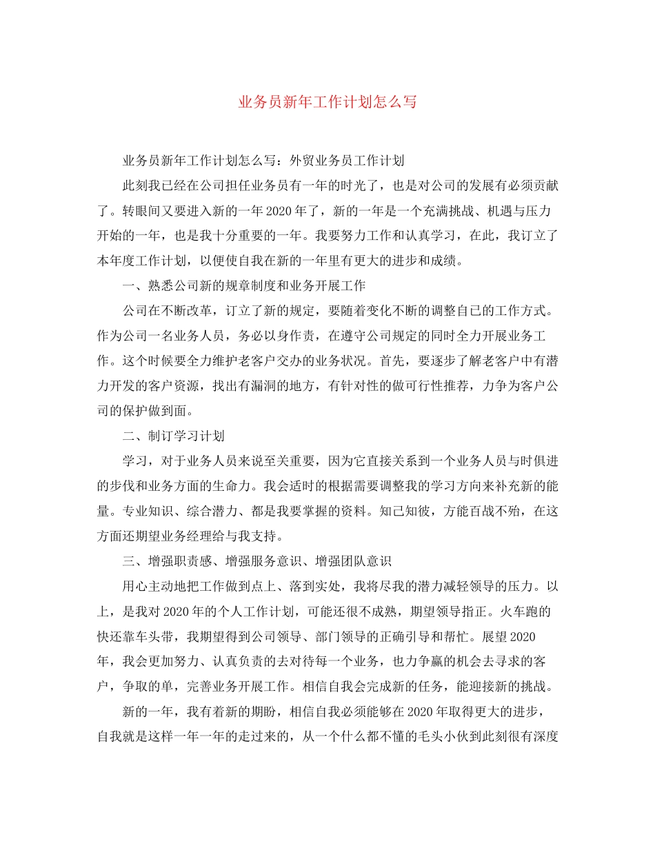 业务员新年工作计划怎么写_第1页