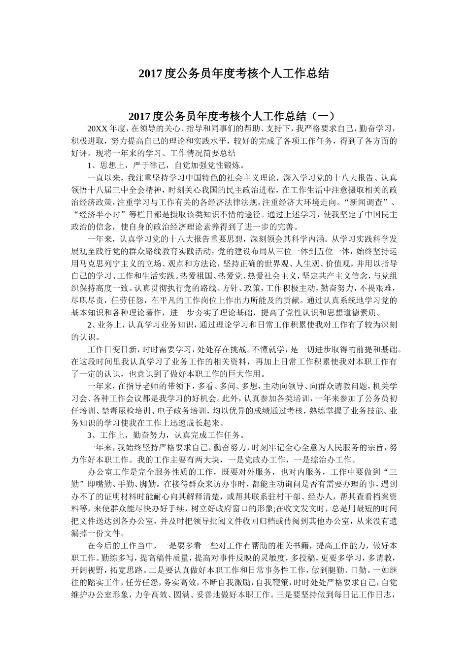 2017年度个人工作总结范文_第1页