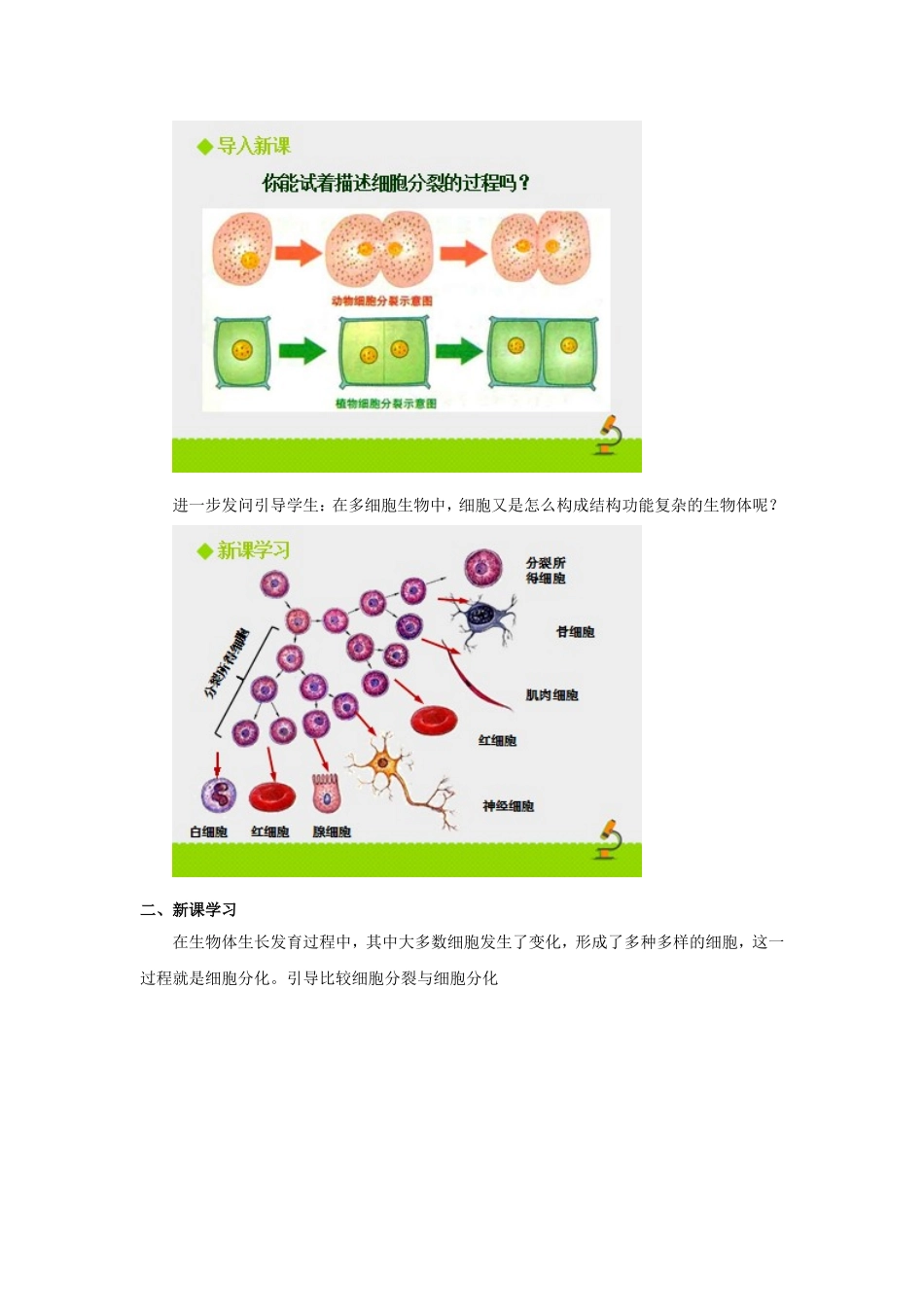 《细胞分化形成组织》教学设计1_第2页