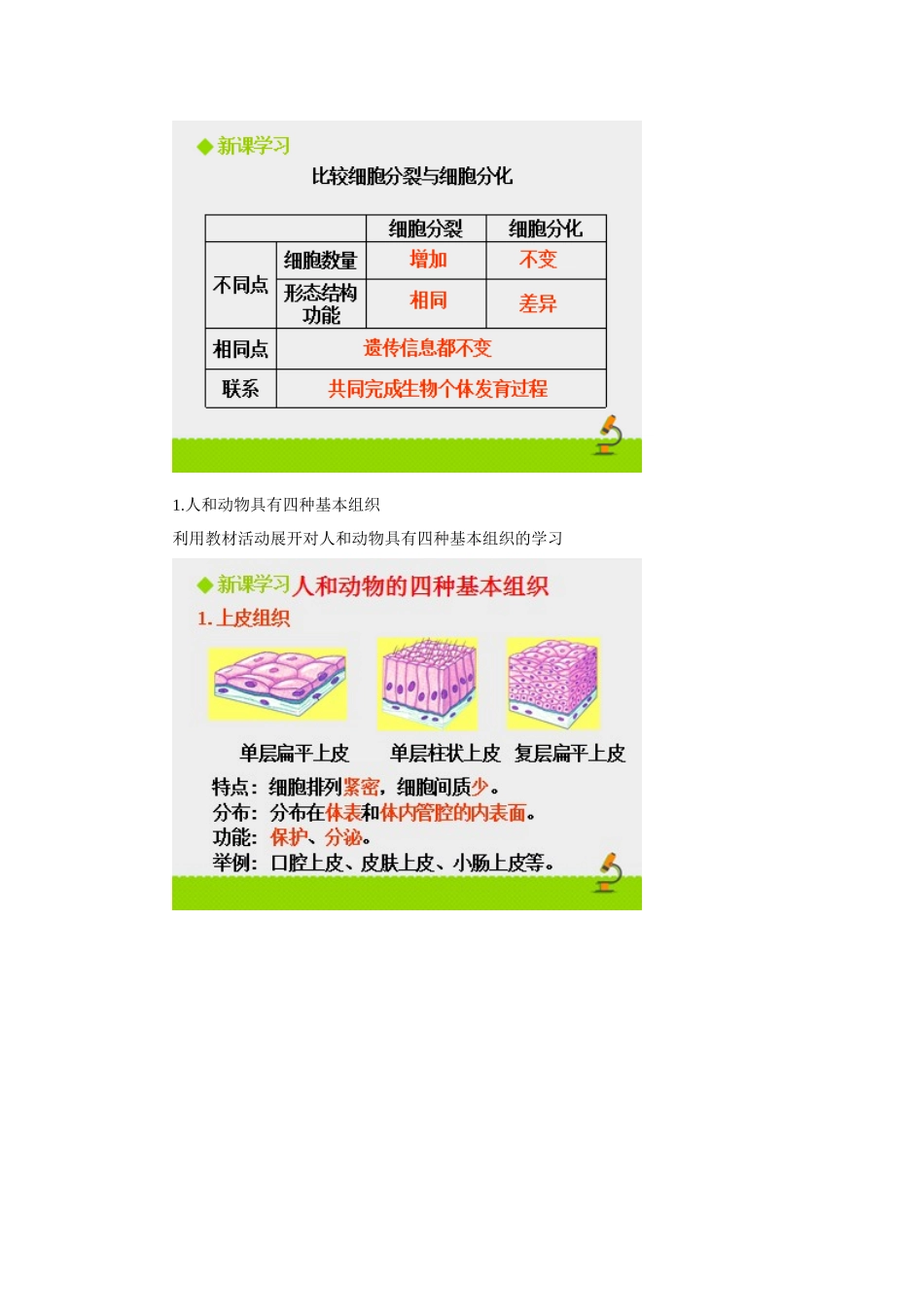《细胞分化形成组织》教学设计1_第3页