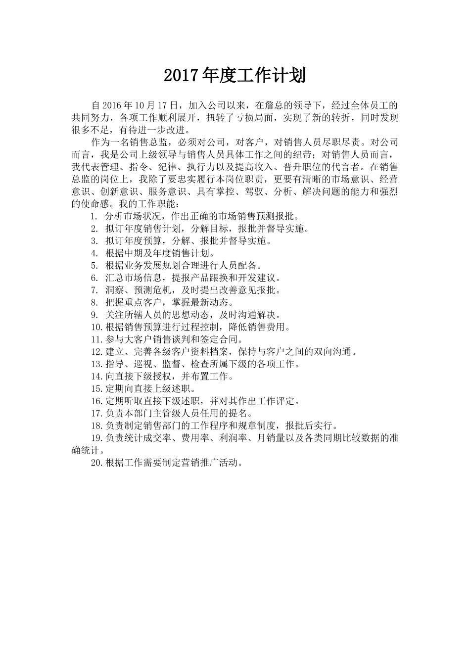 2017年销售总监工作计划—完整版_第1页