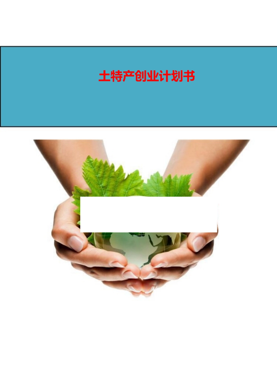 2018年土特产策划方案_第1页