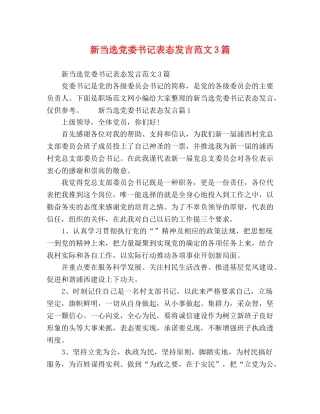 新当选党委书记表态发言范文3篇 