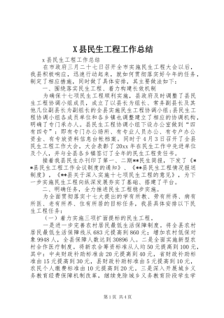 X县民生工程工作总结