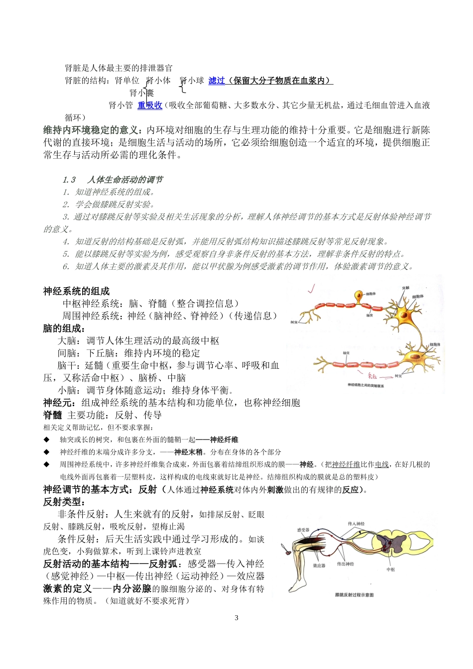2017上海初中生命科学考试学业考试复习纲要_第3页