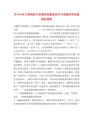 关于--市工商局班子思想政治建设及学习实践科学发展观的调研 