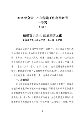 2018年全中小学党建工作典型案例
