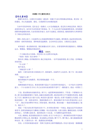 《相遇》作文素材及范文