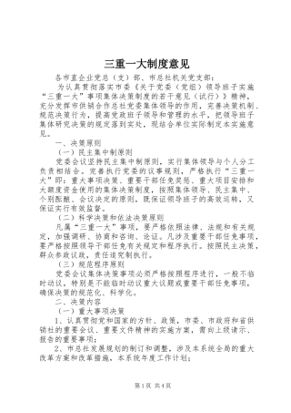 三重一大制度意见